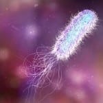 Test supplier receives certification for pseudomonas testing in drinking water