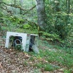 shutterstock_354953318