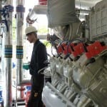 Innovation cuts H2S levels in biogas produced by AD