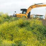 Veolia and the RSPB celebrate “landfill facelift” and biodiversity work in Essex