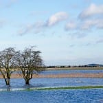 Commons Select Committee calls for action to address flood prevention failings