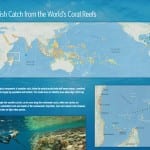 New online tool quantifies ocean benefits at global scale