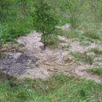 Severn Trent Water fined £426,000 for repeated raw sewage leaks in to the Shire Brook