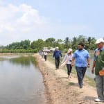 Aberdeen researchers win funds to establish marine energy centre in SE Asia