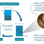 Nereda promises “water industry step change”