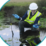 Utility chooses algae monitor