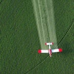 Pesticides forum to take place in November in Swindon