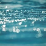 WWEM conference focuses on priority pollutants