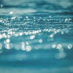 WWEM 2016 lab conference focuses on priority pollutants