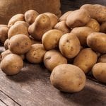 Funding available for businesses and organisations working in the bioeconomy in Scotland