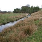 Slurry spill results in £8,000 fine for farmer in Scotland