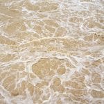 Mapping study highlights risk from groundwater flooding in England