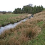 Locher_Water,_near_Harelaw_-_geograph.org.uk_-_1227318