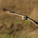 Appraising the landscape