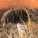 Water jetting root cutting keeps highway drains clear