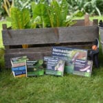 BASF challenges allotment holders to take the nematode challenge