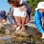 Study reveals the global growth of ecological and environmental citizen science is fuelled by new technology