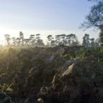 Scientists question the feasibility of the “4 per 1000” goal to sequester carbon in soil and slow climate change