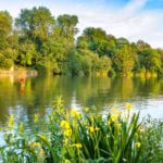 Record-breaking fine for Thames pollution incident