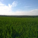 ‘Agricultural revolution’ in Anglo-Saxon England sheds new light on medieval land use