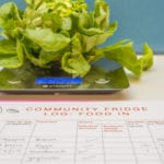 Cool plan to tackle food waste: Community fridge network launched by charity with help from Sainsbury’s and Bosch