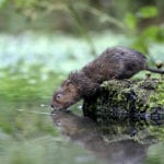 Water quality improving but Environment Agency urges more action