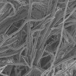 Landfill sites: not just a load of rubbish, say biotechnology researchers