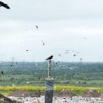 The life left in landfill: Veolia describes its recent stewardship of sites