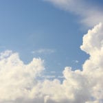 Ozone-linked respiratory deaths have been vastly underestimated, reveals new study