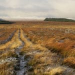 UK’s damaged peatlands win new support to tackle climate change