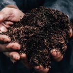 More than half of microplastics remain on land, says CIWEM report