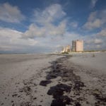 $2.8 million awarded to research consortium studying impact of Deepwater Horizon oil spill