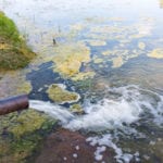 WWF investigation reveals surprising extent of river pollution from sewage in England and Wales
