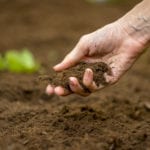 Nature is vital to beating climate change, finds new study