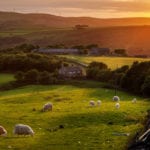 CIWEM calls on Government to strengthen the power of catchment partnerships