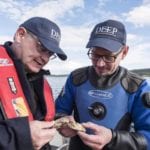 Whiskey maker awarded for work to restore oysters to Dornoch Firth