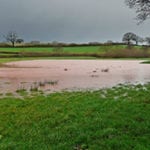 EA publishes data, case studies and evidence about the role of natural flood management in reducing flood risk.