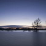 River expansion boosts biodiversity, in Netherlands study