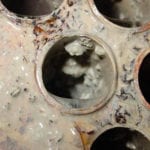 Don’t get hot under the collar about biofilms