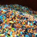 Survey reveals incentives and challenges for the use of recycled plastic