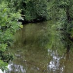 Select committee launches enquiry into UK nitrates pollution