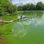 ‘Far too many serious pollution incidents’ says Environment Agency water quality report