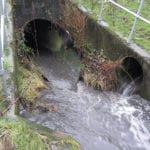 EA water quality report “woefully short on action” to control runoff pollution