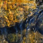 Meeting shares research on viruses and antibiotic-resistant bacteria in the water environment