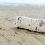 Engineering a plastic-eating enzyme