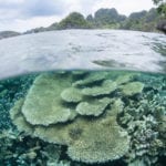 Warning of dangerous decline in biodiversity across the world