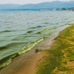 Biological changes dramatically alter world’s oldest, deepest lake