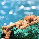 UK Government announces £200k to fund research into microplastics pollution pathways