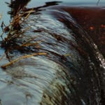 Wastewater treatment plants are key route into UK rivers for microplastics, says study