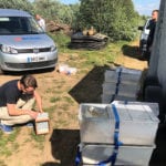 Endangered water voles given a new sanctuary in South Yorkshire